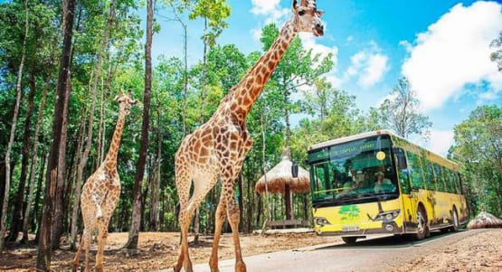 Vingroup đề xuất triển khai khu sinh thái Vinpearl Safari hơn 1.100ha ở Hạ Long